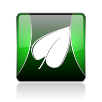 black and green square glossy internet icon on white background with reflaction
