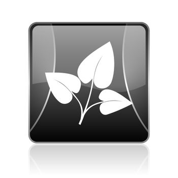 black modern square web glossy icon on white background with reflaction