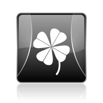 black modern square web glossy icon on white background with reflaction