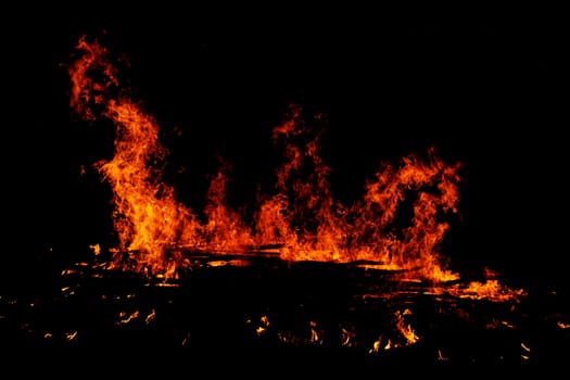 red flames of huge bonfire or campfire as black backgorund