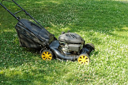 Black lawnmower in the garden lawn the grass with fuel engine