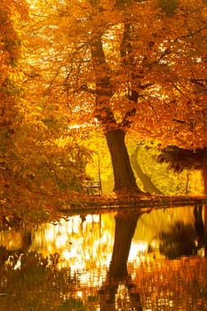 Beautiful colors of autumn landscape by the lake