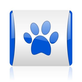 animal footprint blue square web glossy icon