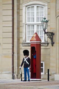 Danish Royal Life Guard on duty at the Amalienborg Palace in Copenhagen







gg