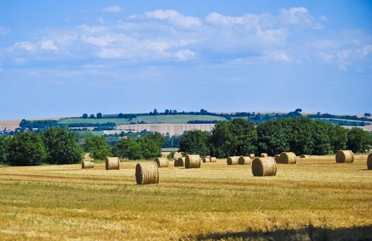 A field of hay rolls after harvest, with view of countryside beyond.