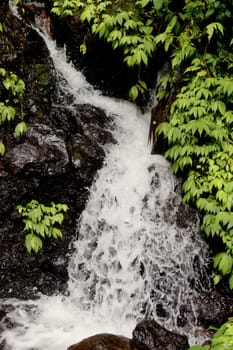 Small falls in the wild nature in tropics in the rain