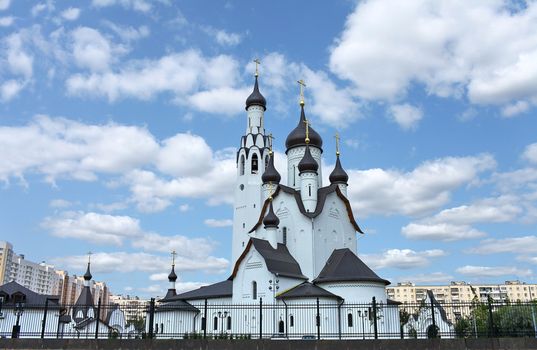 Church of St. Peter the Apostle in St. Petersburg