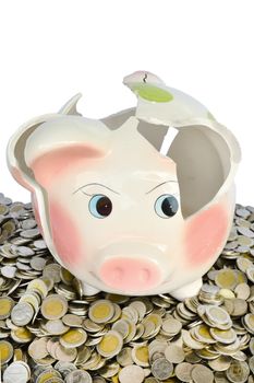 Pink piggy bank broken with money isolated on white background