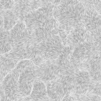 Gray fur texture