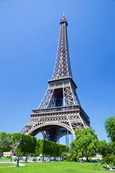 Eiffel Tower seen from Champ de Mars at a sunny summer day, Paris, France