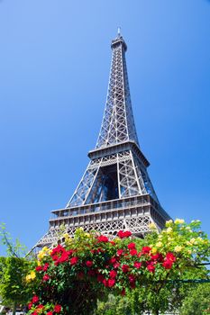 Eiffel Tower seen from Champ de Mars at a sunny summer day, Paris, France