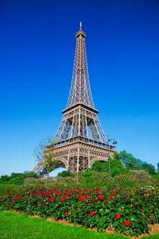 Eiffel Tower and park with roses at a sunny summer day, Paris, France