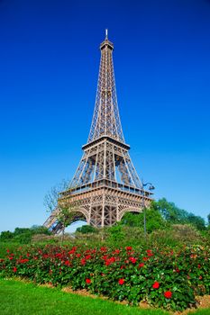 Eiffel Tower and park with roses at a sunny summer day, Paris, France