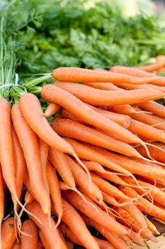 fresh orange carrot bundle on market in summer outdoor