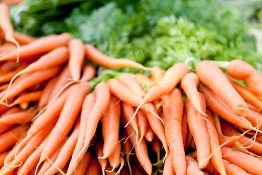 fresh orange carrot bundle on market in summer outdoor