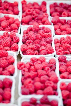 fresh tasty pink raspberry closeup macro on market outdoor summer