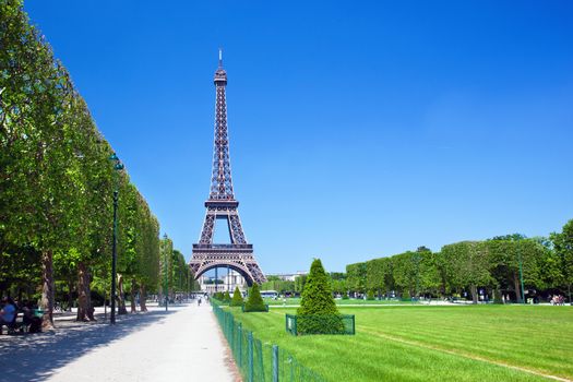 Eiffel Tower seen from Champ de Mars at a sunny summer day, Paris, France