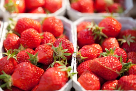 sweet tasty ripe strawberry collection background macro 