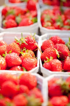 sweet tasty ripe strawberry collection background macro 