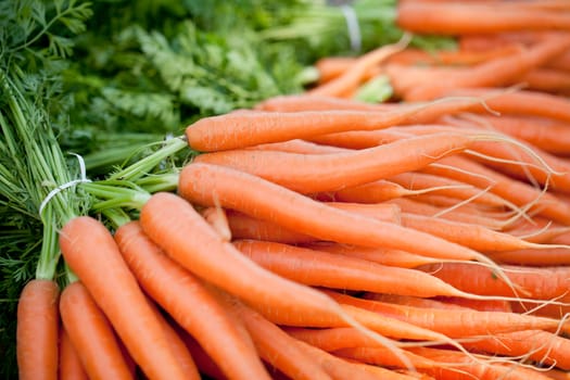 fresh orange carrot bundle on market in summer outdoor