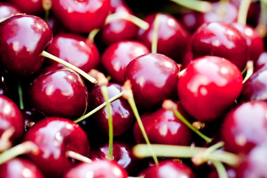 sweet red cherry closeup macro on market outdoor summer