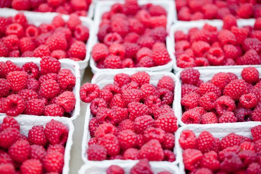fresh tasty pink raspberry closeup macro on market outdoor summer
