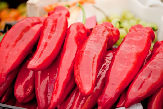 fresh healthy red yellow geen paprika pepper macro closeup market outdoor