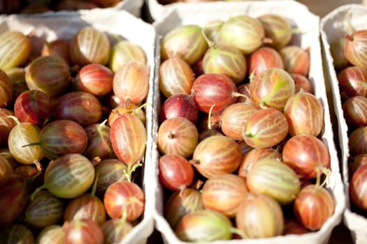 fresh tasty gooseberries macro closeup on market outdoor summer