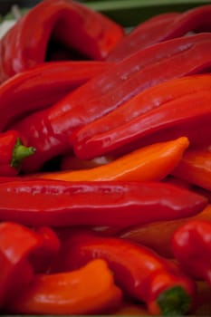 fresh healthy red yellow geen paprika pepper macro closeup market outdoor