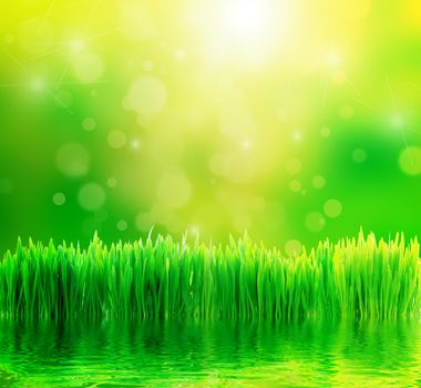 Green nature background. Fresh grass, water reflection and sunny bokeh background.