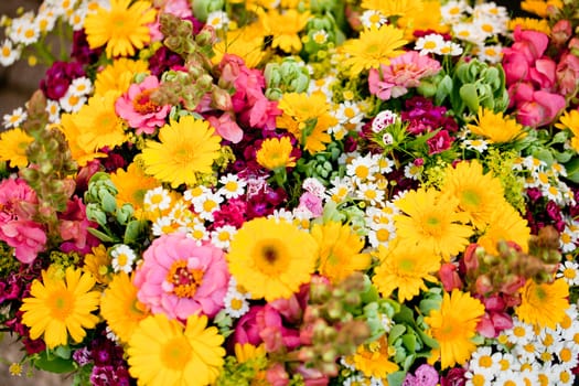 beautiful colorful collection of flowers spring summer celebration card macro
