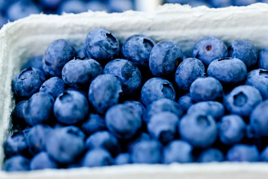 healthy fresh blueberries macro closeup on market outdoor summer
