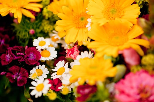 beautiful colorful collection of flowers spring summer celebration card macro