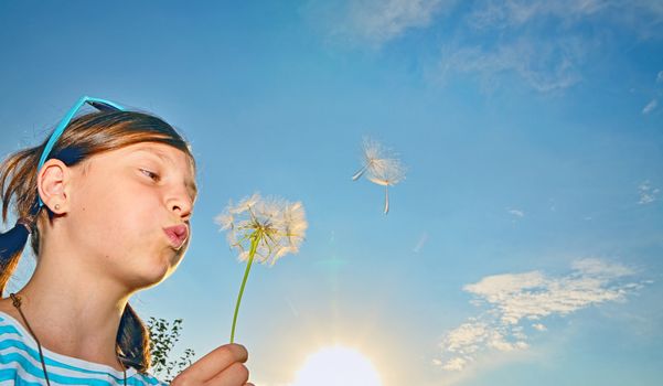  girl blowing dandelion, blue sky in sunset