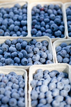 healthy fresh blueberries macro closeup on market outdoor summer