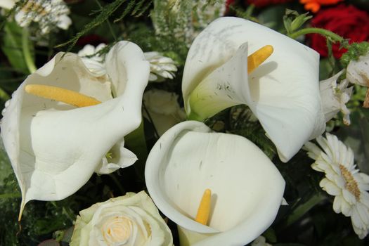 White calla lillies in a white flower arrangement, wedding decorations