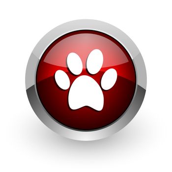 animal footprint red circle web glossy icon