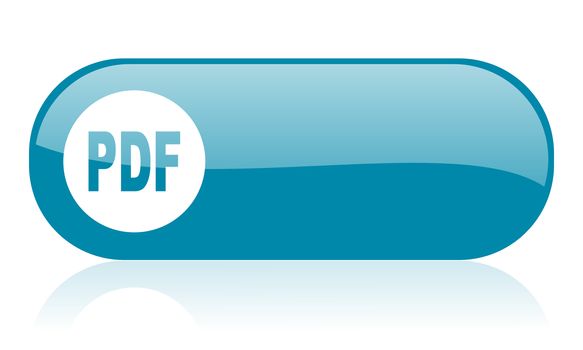 pdf blue web glossy icon