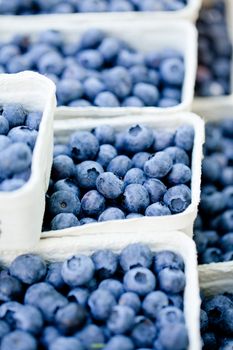 healthy fresh blueberries macro closeup on market outdoor summer
