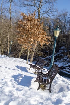 retro decorative benches with shadows and lighting lamp and oak tree dry leaves in park surrounded by snow in winter.