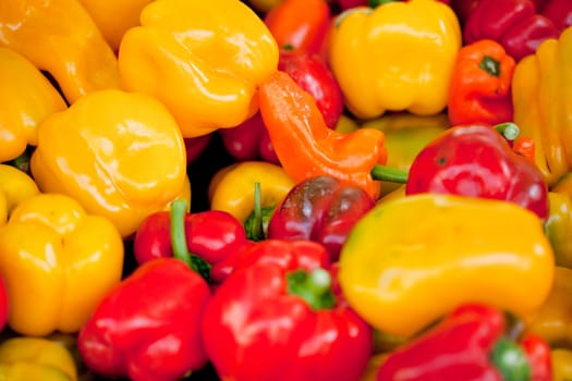 fresh healthy red yellow geen paprika pepper macro closeup market outdoor