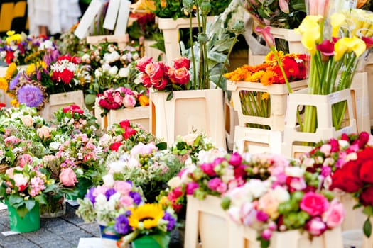 beautiful colorful collection of flowers spring summer celebration card macro