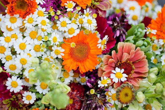 beautiful colorful collection of flowers spring summer celebration card macro