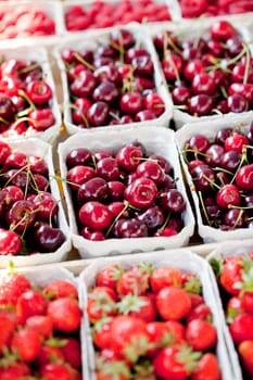 sweet red cherry closeup macro on market outdoor summer