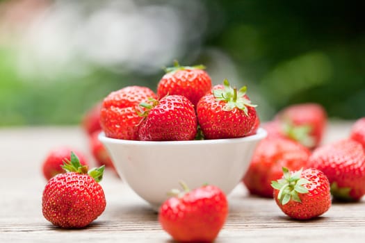 fresh tasty sweet strawberries macro closeup garden outdoor summer