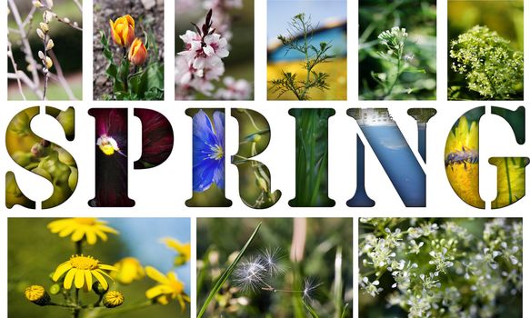 Beautiful collage of spring pictures isolated