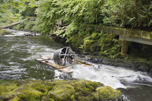 Rotary Screw Trap Device Used by United States and Washington State Fish and Wildlife Department Along River to Catch and Release Downstream Outmigrants Fishes for Research at Cedar Creek