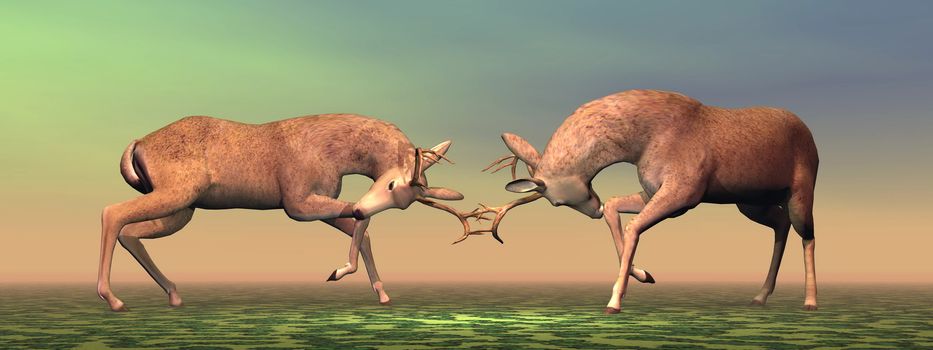 Fallow buck deer fighting one another in brown and green background light