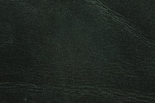 Close up texture of Black cow leather for use as Background