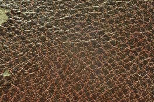 Grunge Texture background of Brown Cow leather